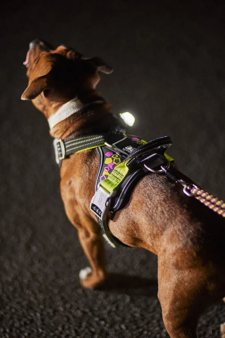 Hurtta Dog Harness: Weekend Warrior Neon Harness