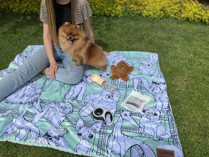 Nature's Protection Superior Care 2-Sided Blanket For Pets Or Their Owners Soft Warm And Cozy Bright Mint